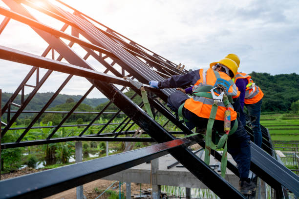 Roof Gutter Cleaning in Kenmore, WA